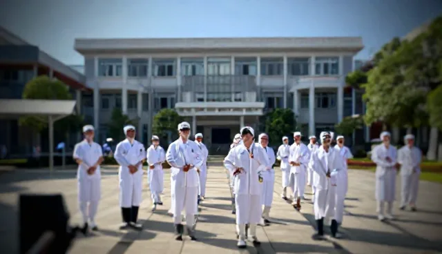 短视频拍摄中传播服务如何提升效果，优化内容传播策略